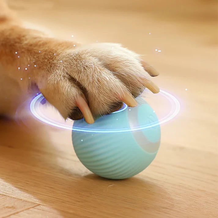 Electric Auto Rolling Smart Puppy Ball